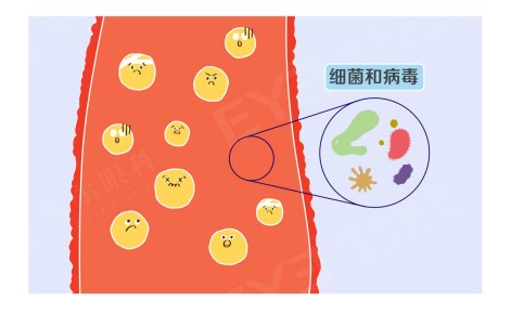 图片.png 图片.png