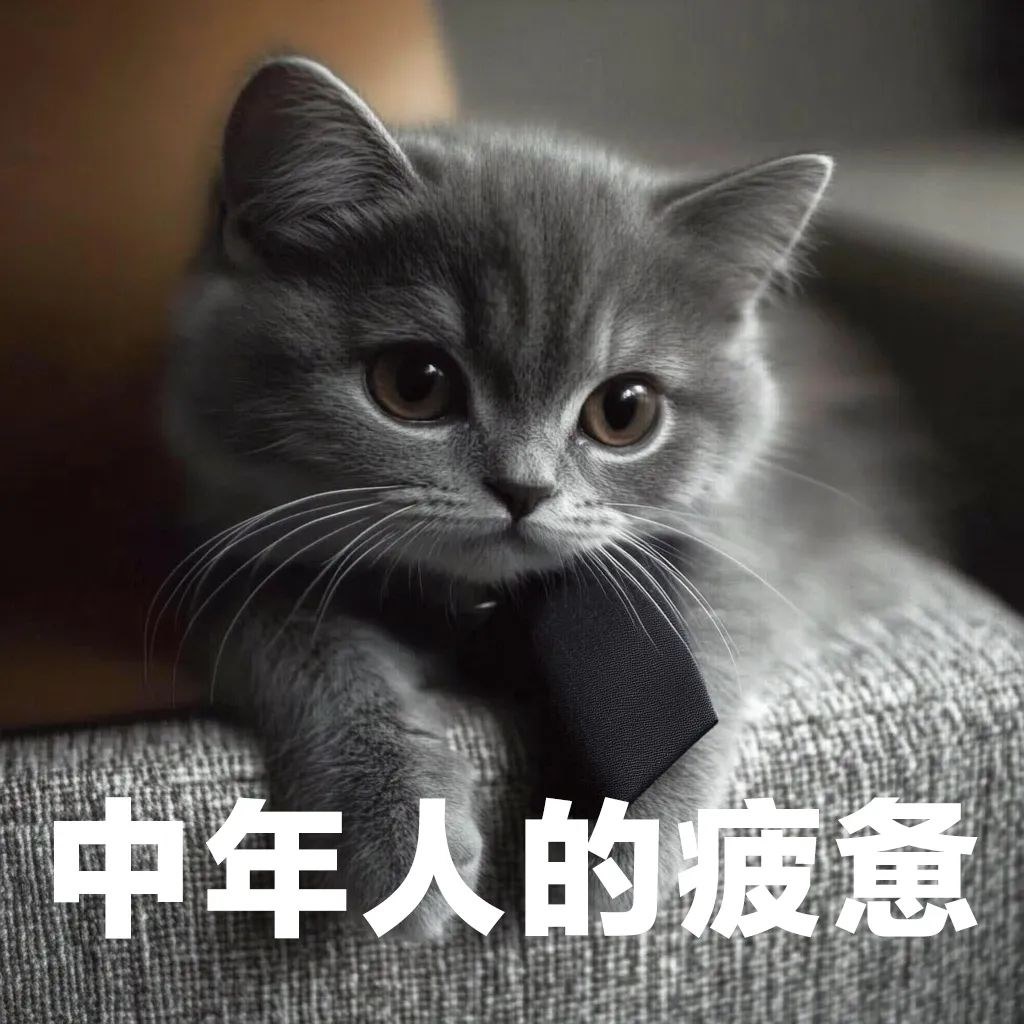 图片.png 图片.png