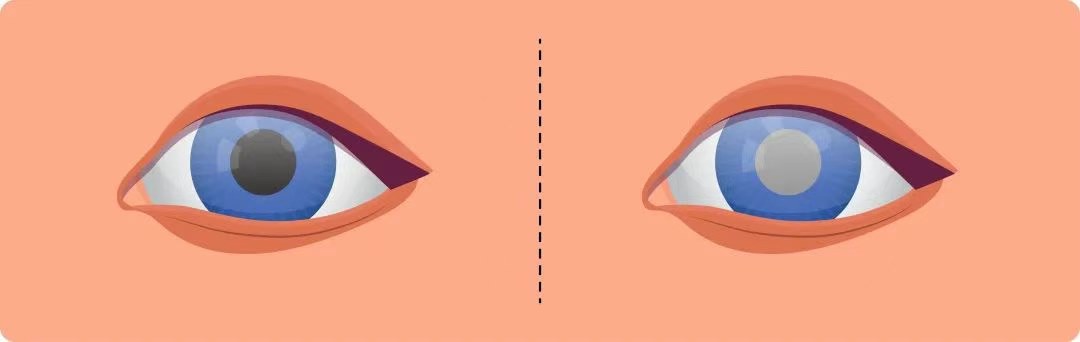 图片.png 图片.png